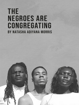 cover image of The Negroes Are Congregating